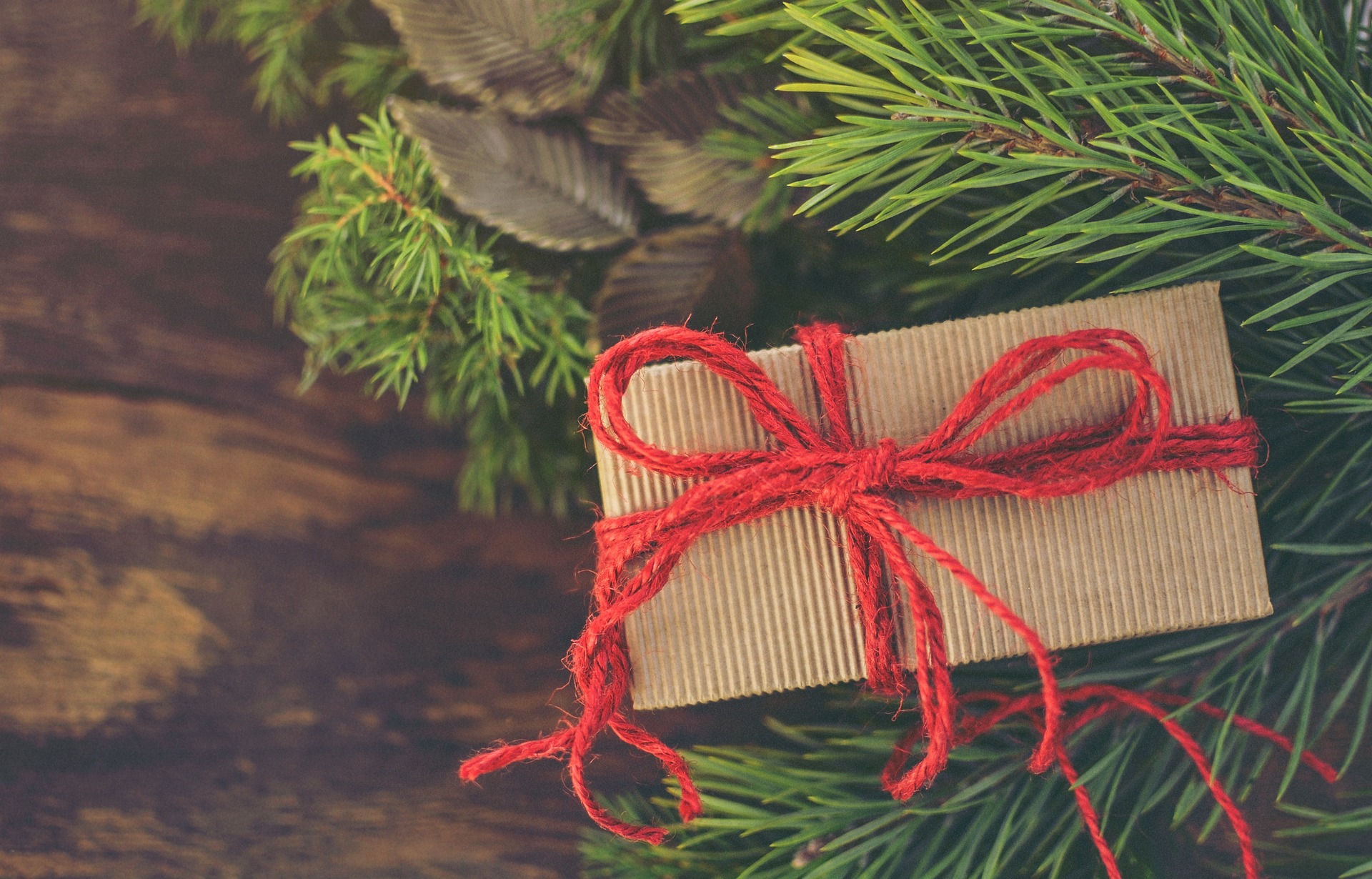 9 Eco-Friendly Gifts